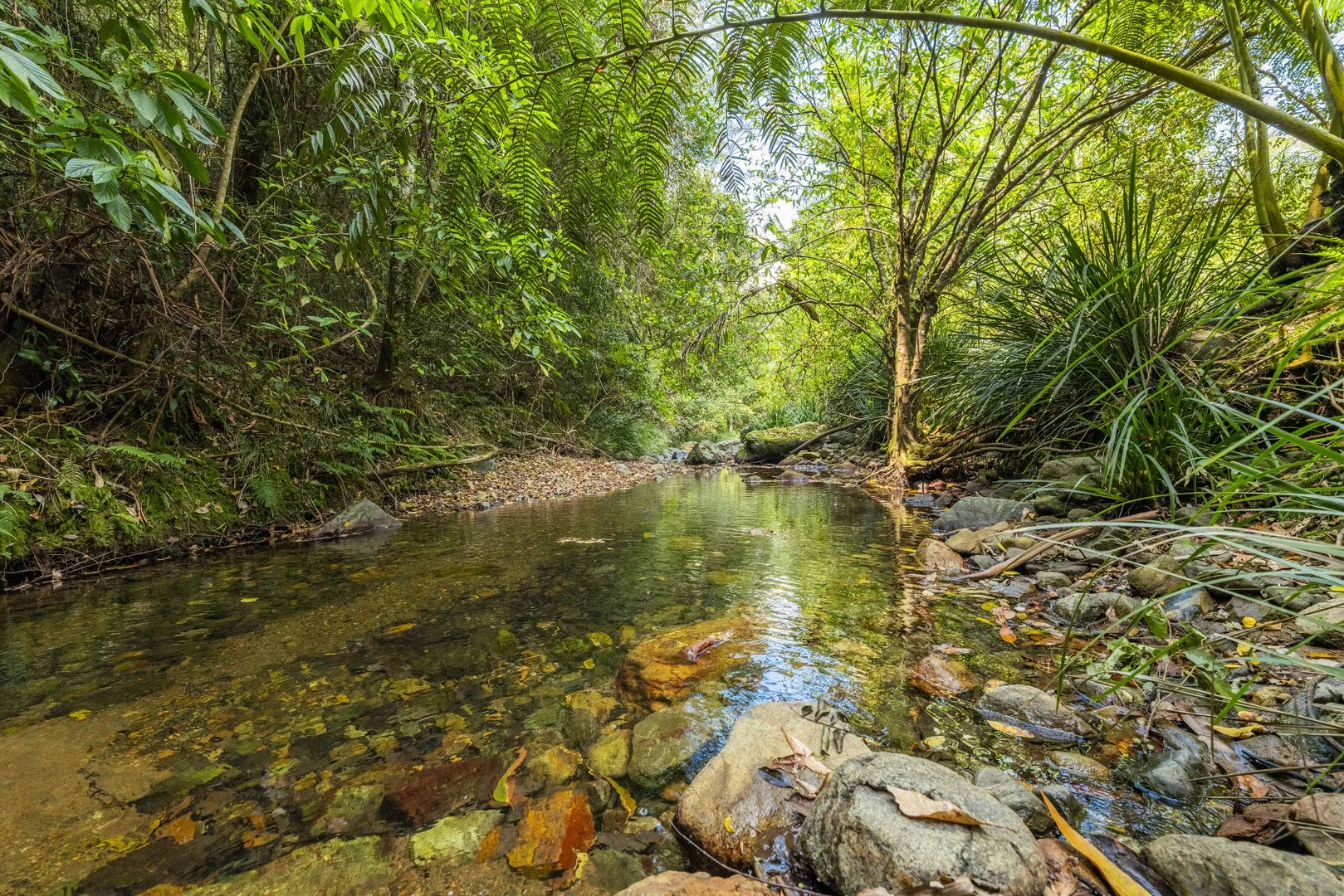 109 Little North Arm Road, Bellingen NSW 2454