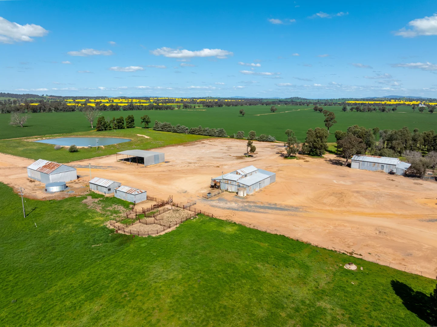 Additional image 10 of 484 Merri Meric Road, Henty NSW 2658