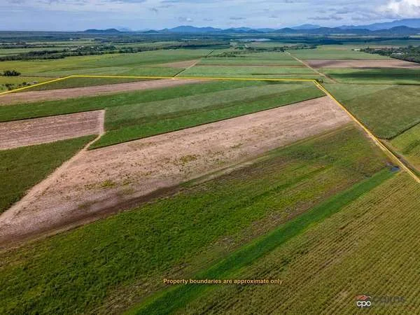 Additional image 2 of 322 Mourilyan Harbour Road, Mourilyan QLD 4858