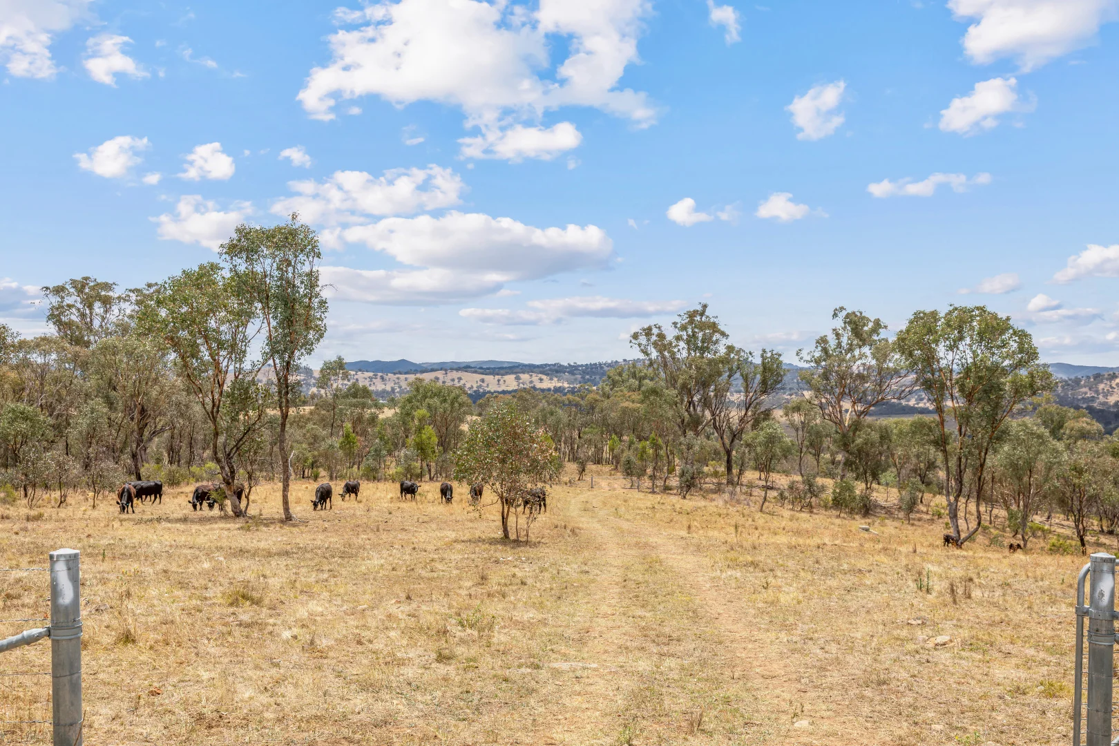Additional image 8 of 748 Turondale Road, Duramana NSW 2795