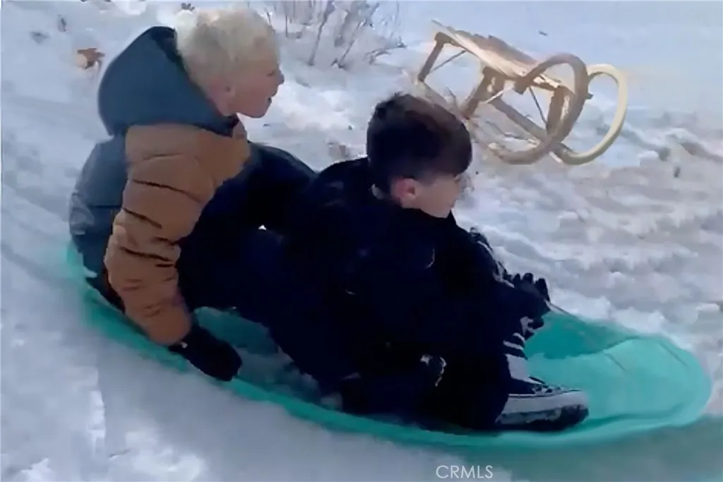 Additional image 63 of 42143 Switzerland Dr, Big Bear Lake, CA 92315