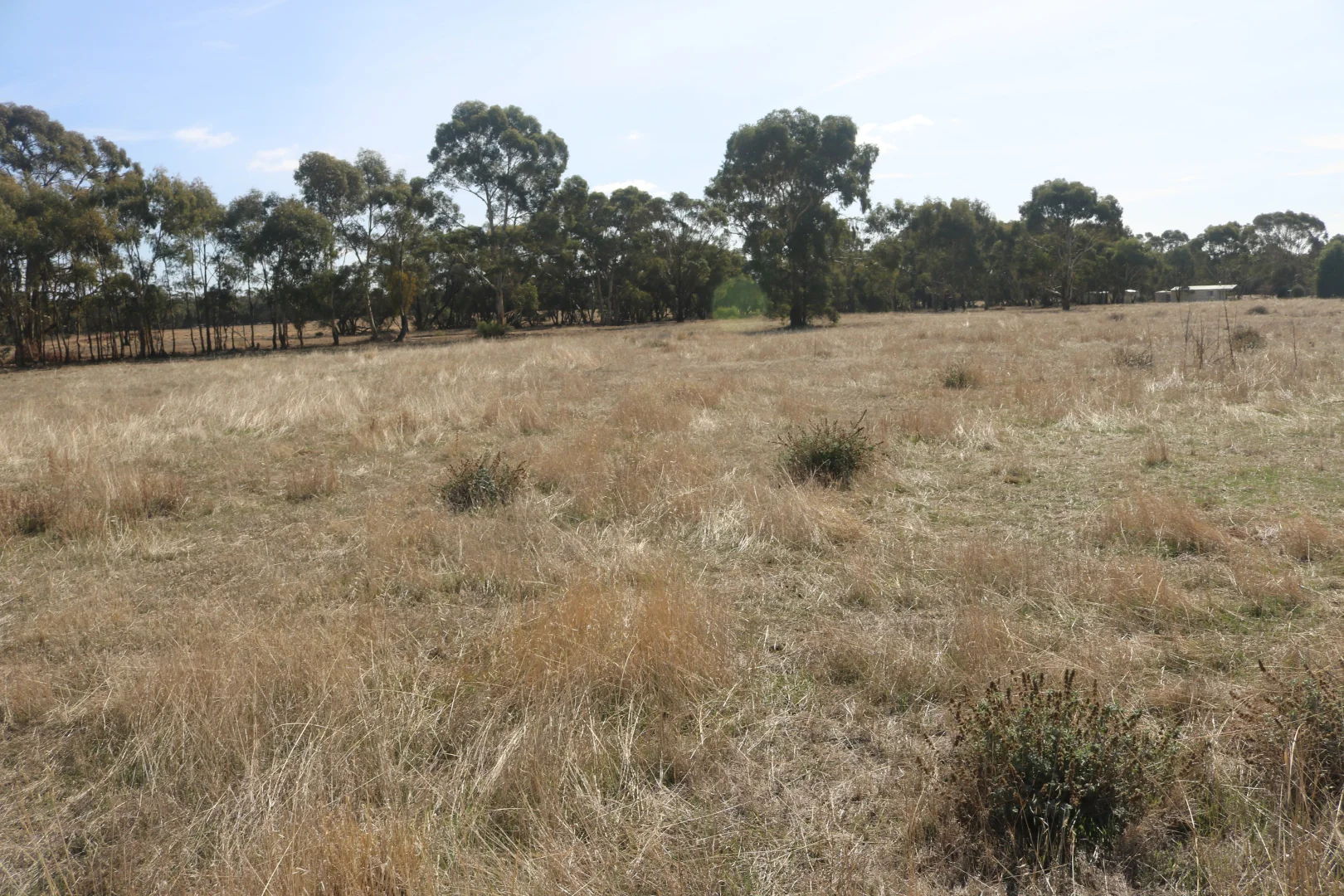 Additional image 9 of Old Boort Road, Wedderburn VIC 3518