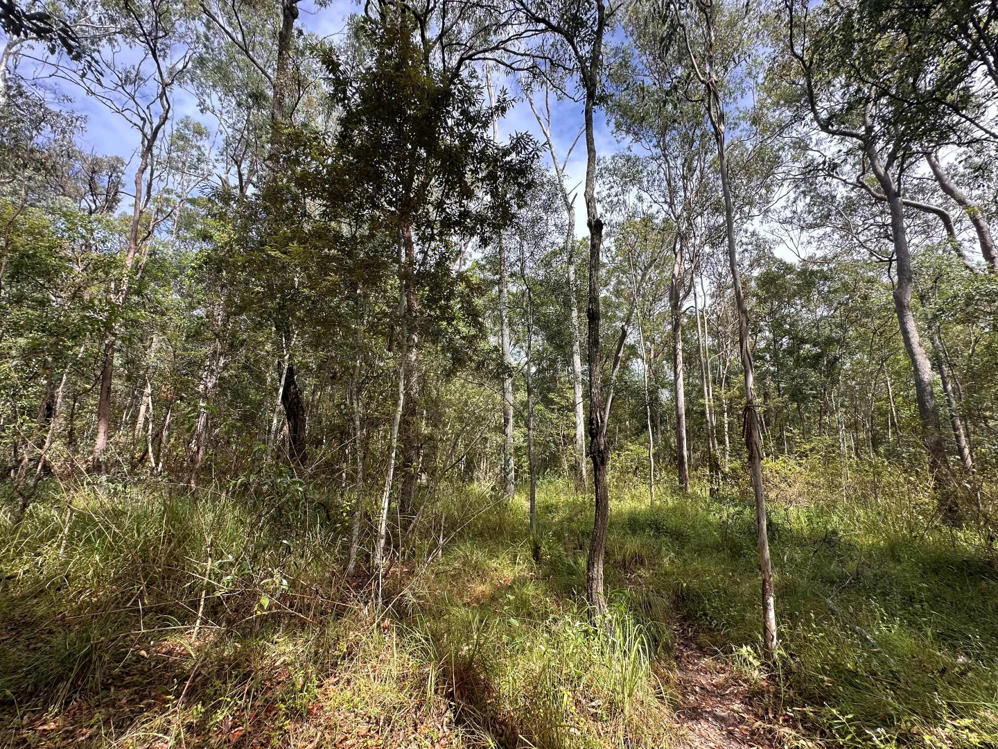 Additional image 5 of Lot 753 Arbortwenty eight, Glenwood QLD 4570