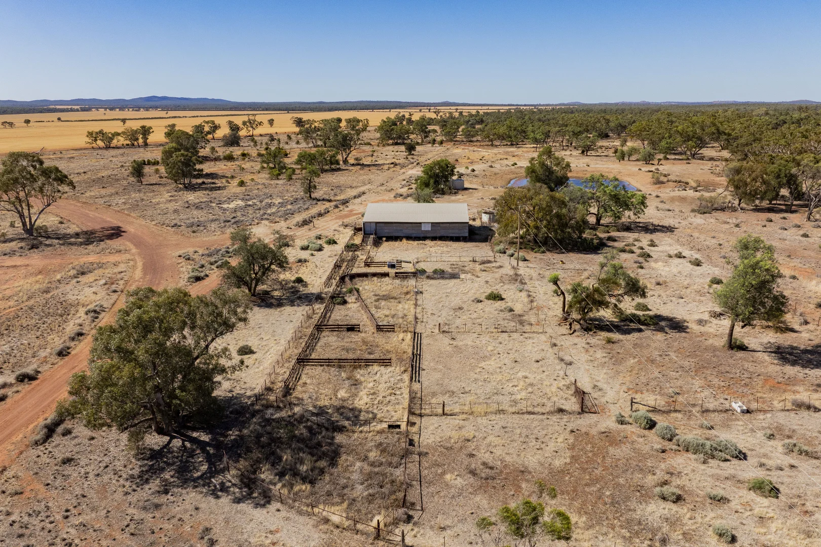 Additional image 14 of 2880 Tallebung Road, Condobolin NSW 2877