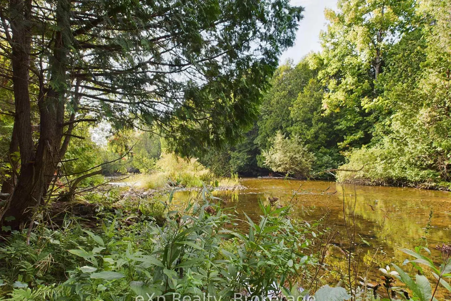 Additional image 3 of 502265 Concession 10 Ndr Concession