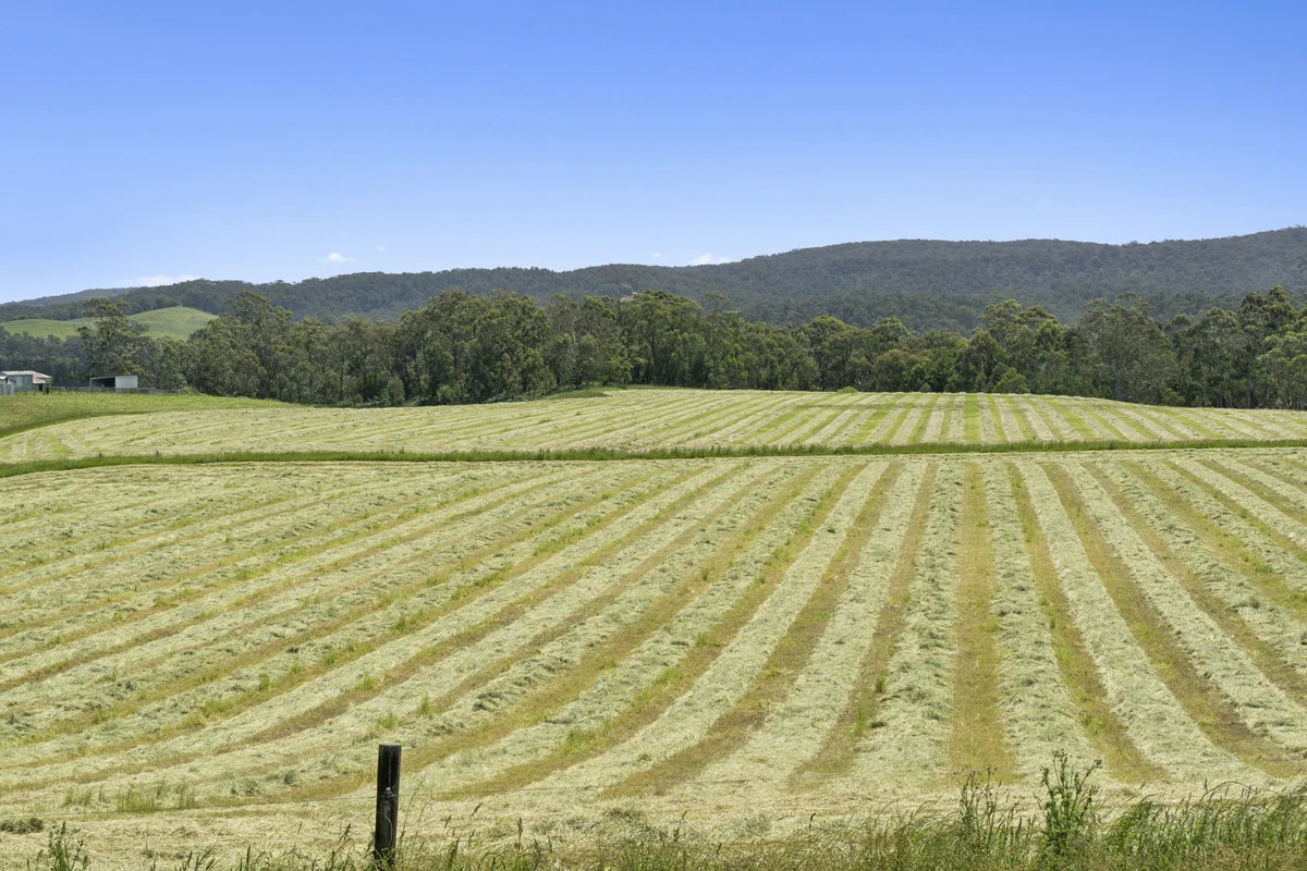 Additional image 27 of 2520 Carlisle Road, Carlisle River VIC 3239