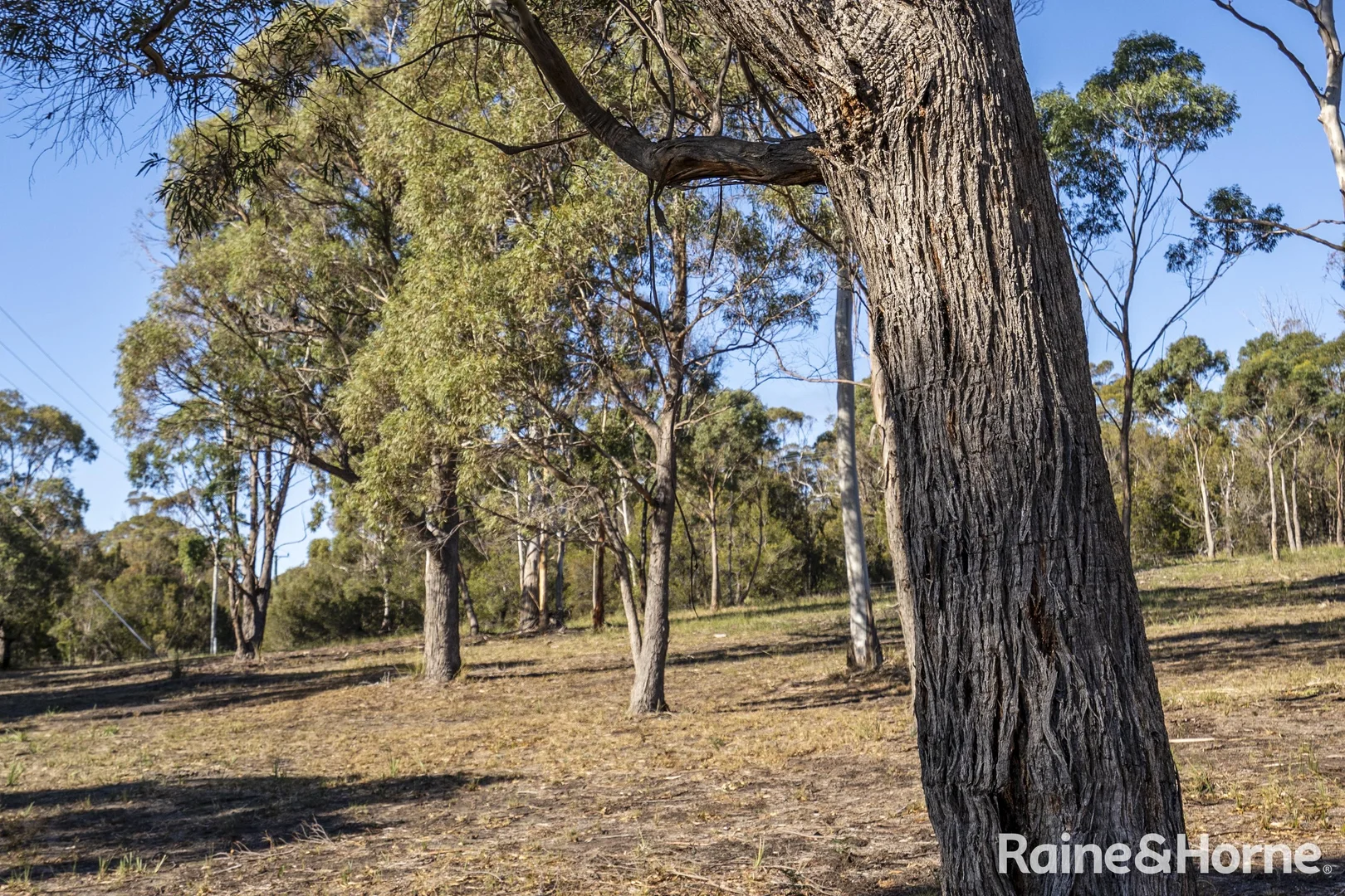 Additional image 7 of 220 Rheban Road, Orford TAS 7190