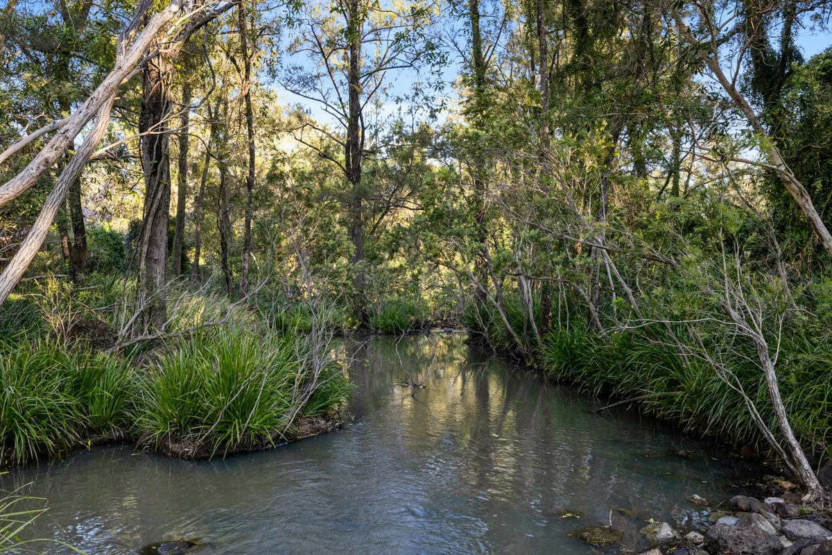 Additional image 23 of 284 Paddys Flat Road, Tabulam NSW 2469
