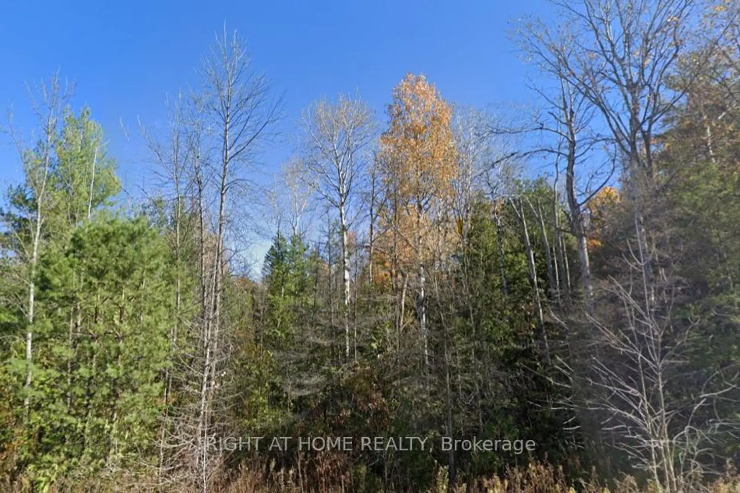 Additional image 2 of 93 Mccleary Road
