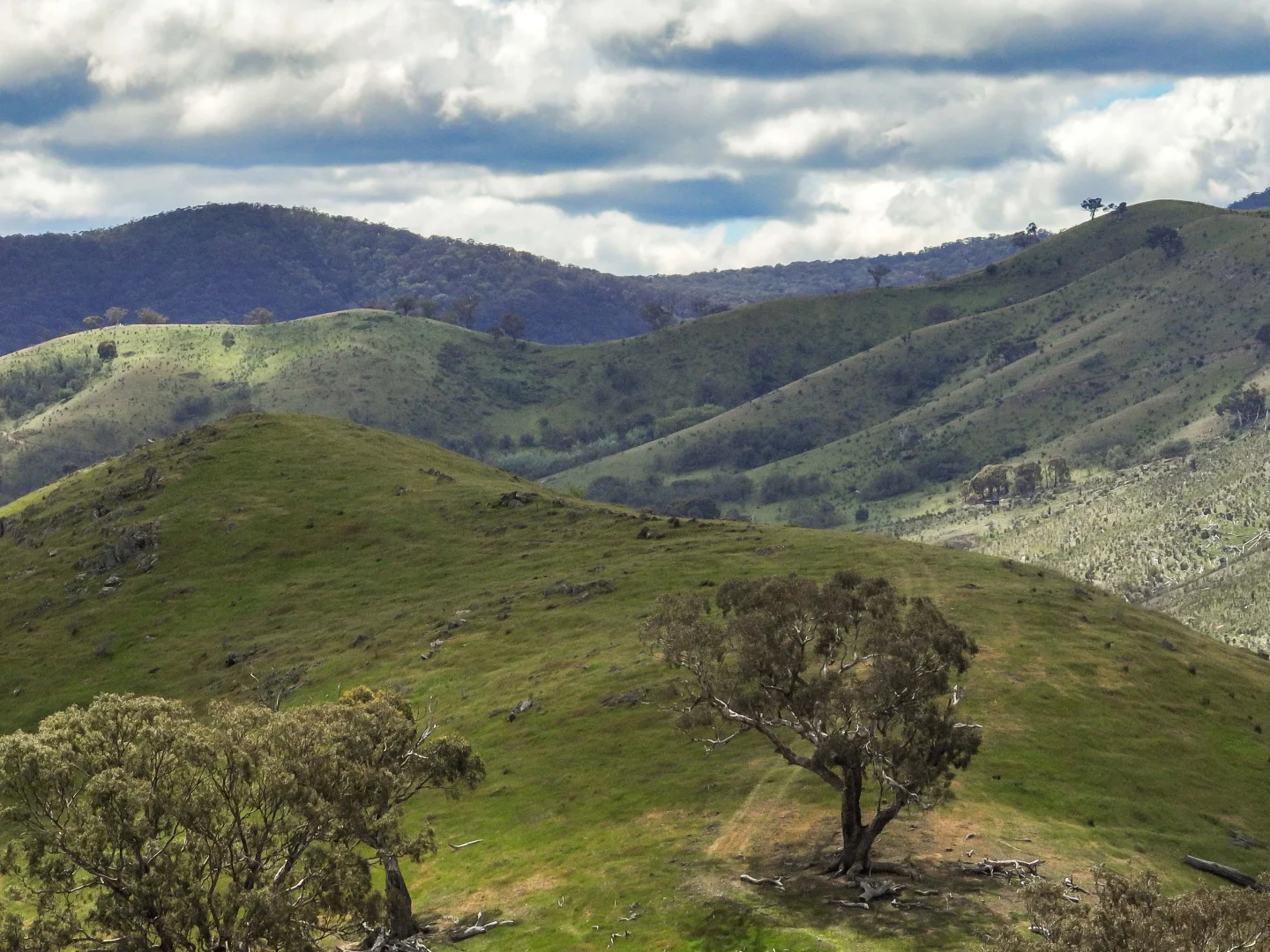 Additional image 3 of 112 Dry Creek Road, Bonnie Doon VIC 3720