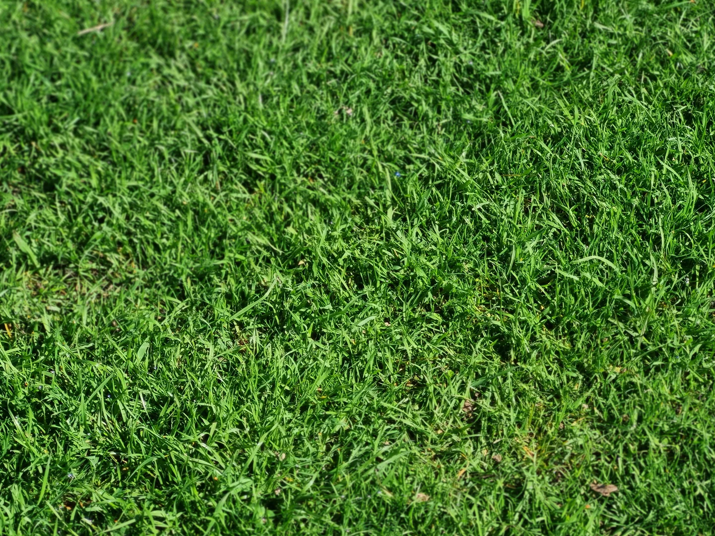 Additional image 11 of 10 Nalinga Road, Seymour VIC 3660