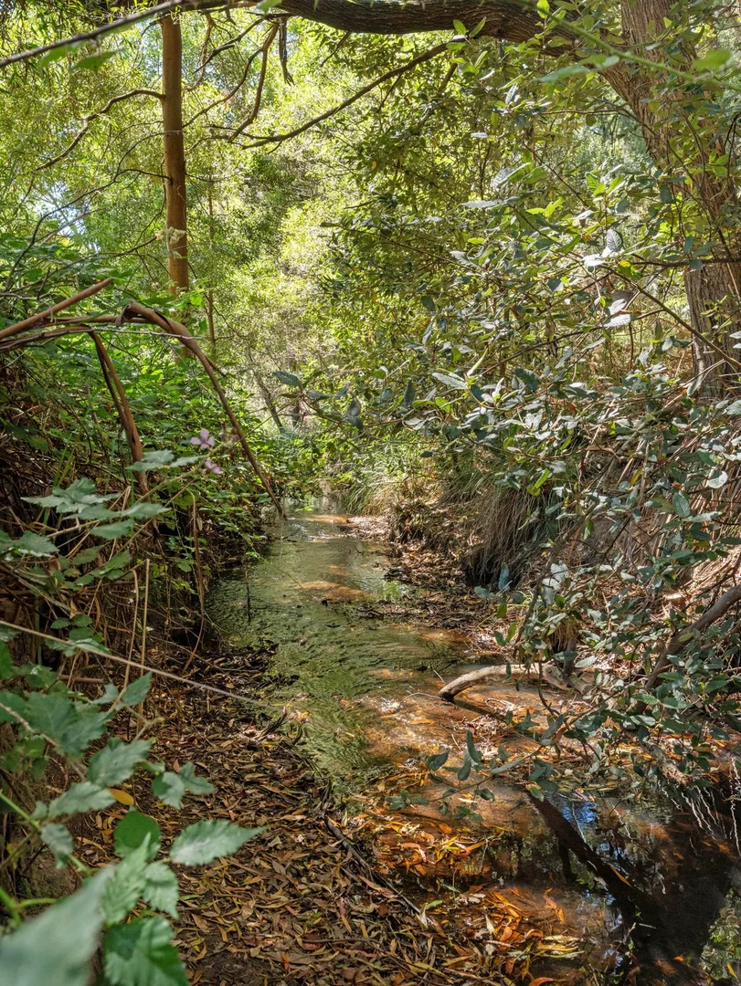 Additional image 29 of 341 South Road, West Ulverstone TAS 7315