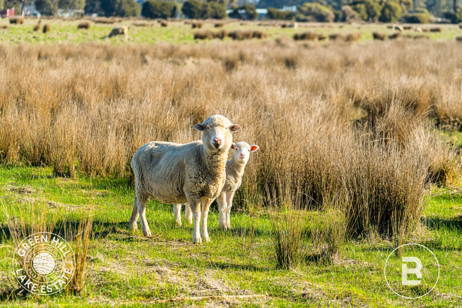 Additional image 8 of Green Hill Lake Estate, Ararat VIC 3377
