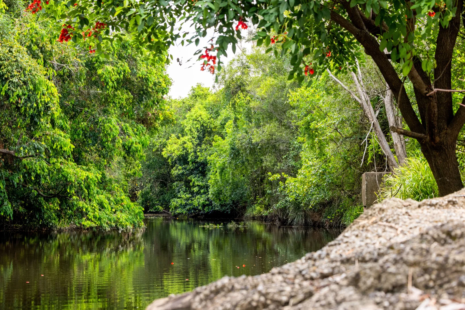 Additional image 12 of 6 Canando Street, Woodford QLD 4514