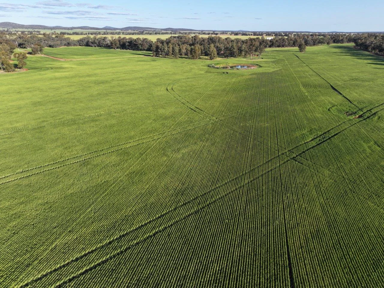 Additional image 7 of Part Westbury Goldfields Way, Barmedman NSW 2668