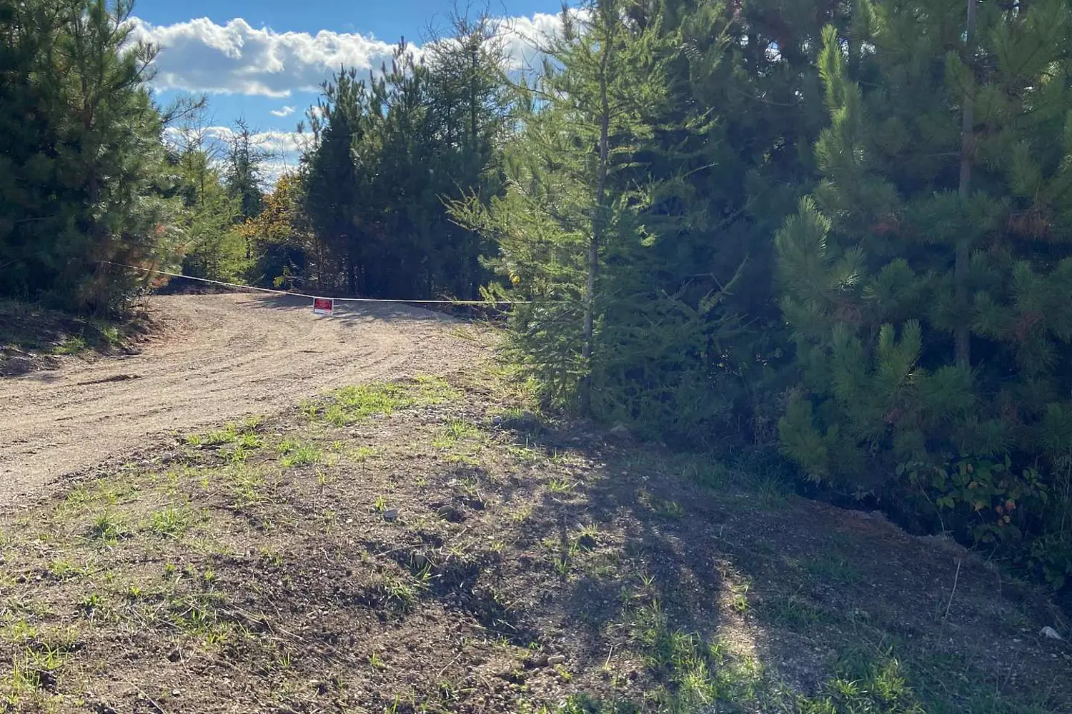 Additional image 3 of 793560 124 Grey Highlands Road