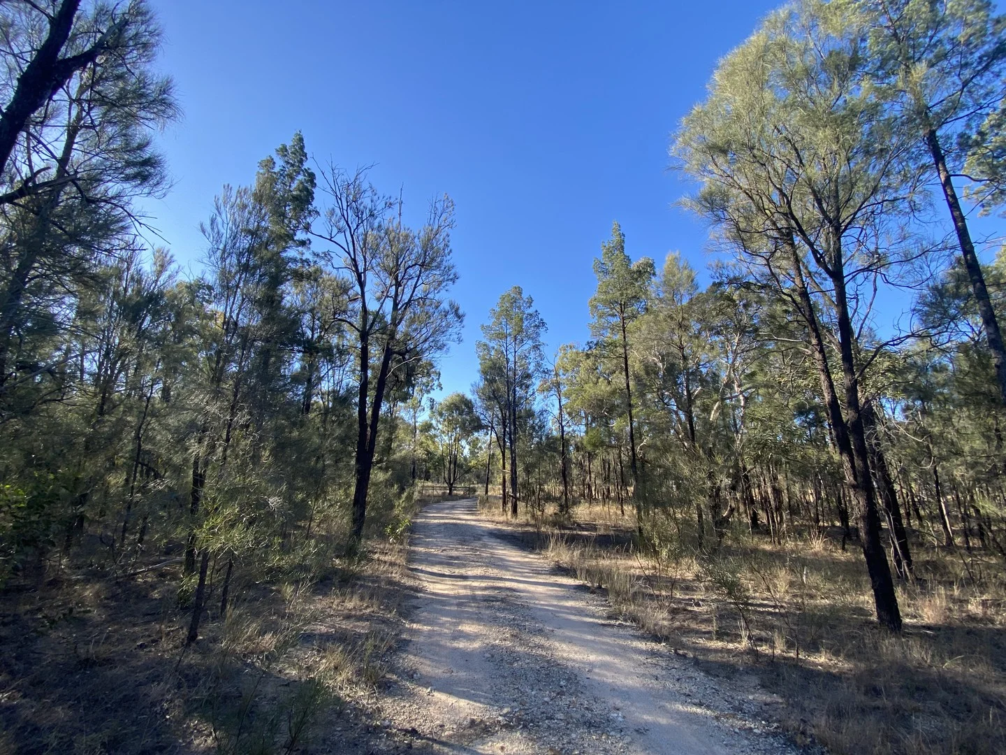 Golden Glow Road, Tara QLD 4421