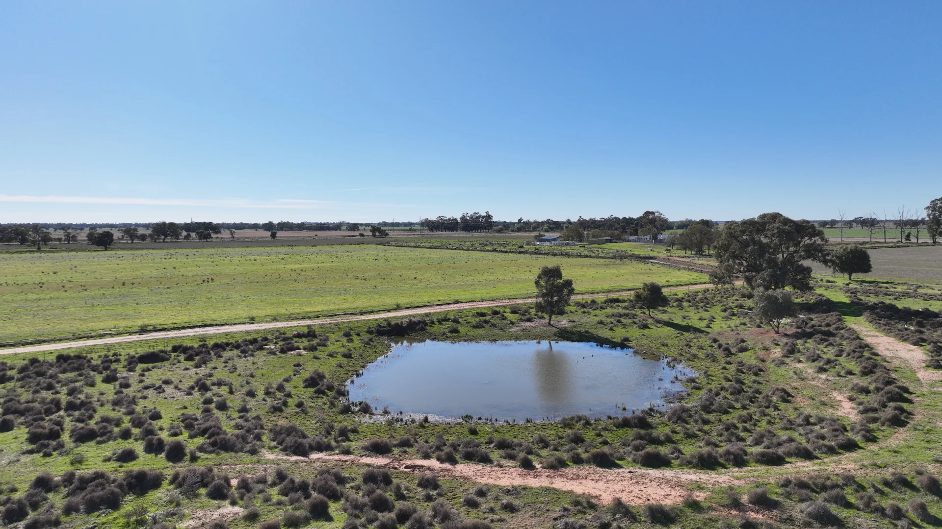 Additional image 36 of Shady Gums Birganbigil Road, Deniliquin NSW 2710