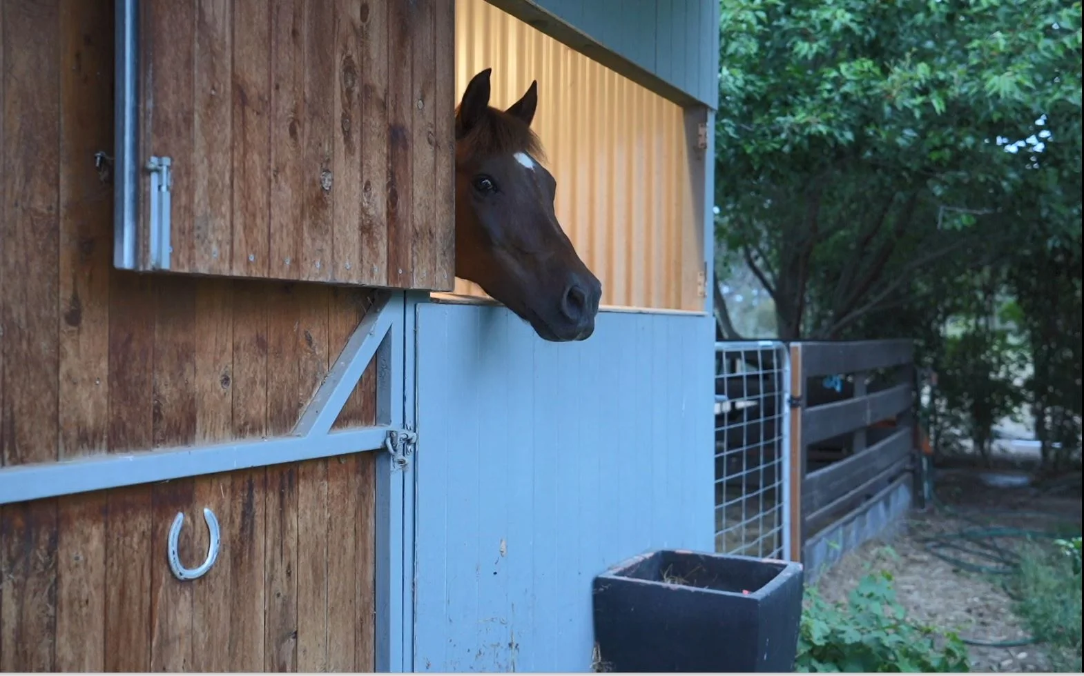 Additional image 38 of 785 Benalla-Tatong Road, Benalla VIC 3672