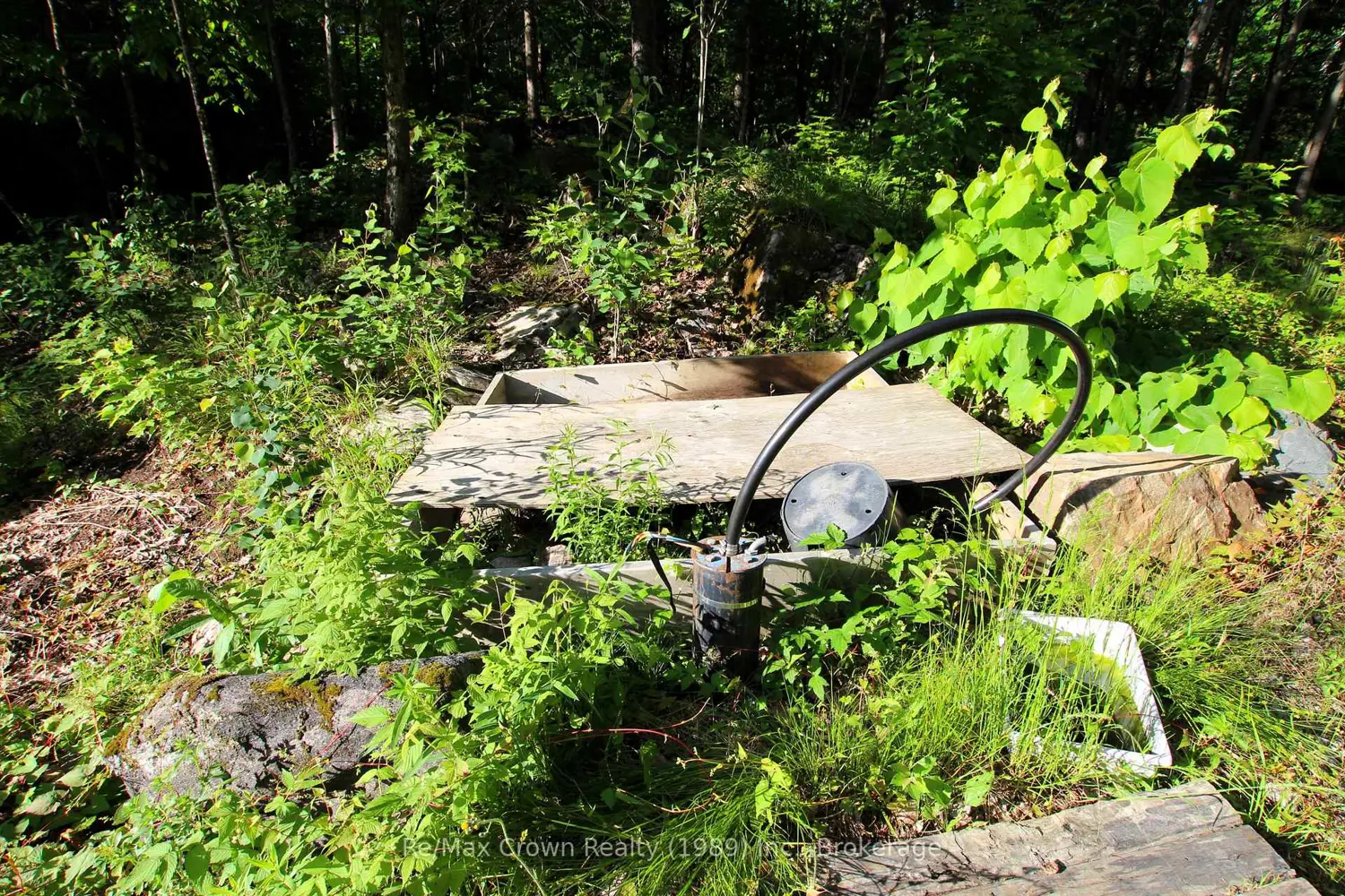 Additional image 16 of 453 Pilgers Road