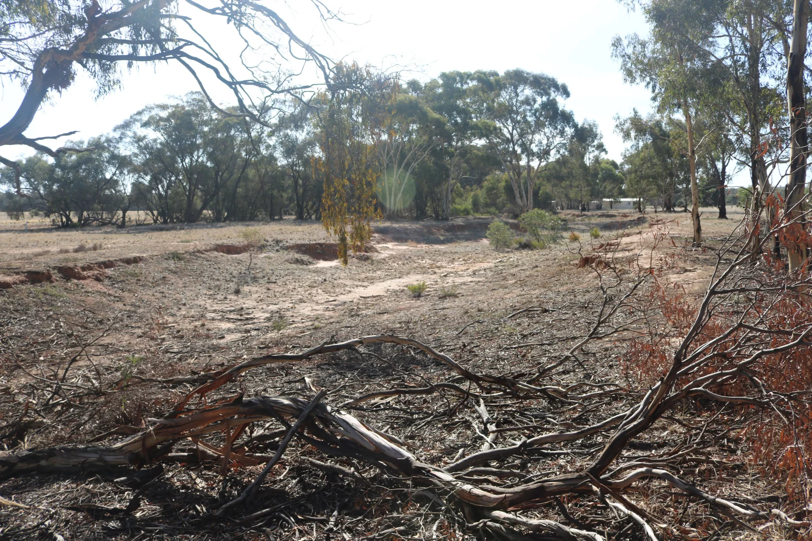 Additional image 14 of Old Boort Road, Wedderburn VIC 3518