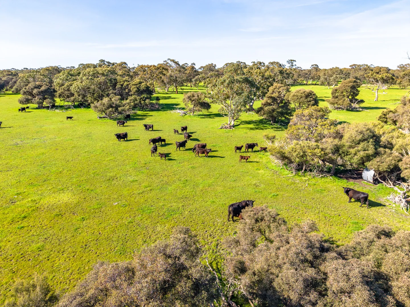 Additional image 7 of 641 Minnie Crowe Road, Avenue Range SA 5273