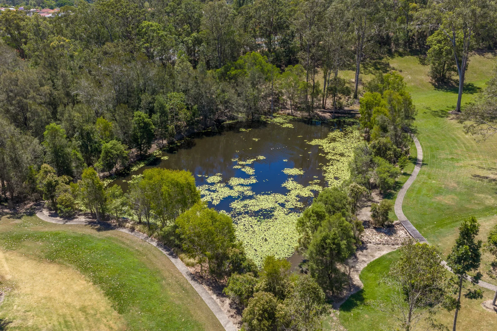 Additional image 31 of 31 Spoonbill Way, Mudgeeraba QLD 4213