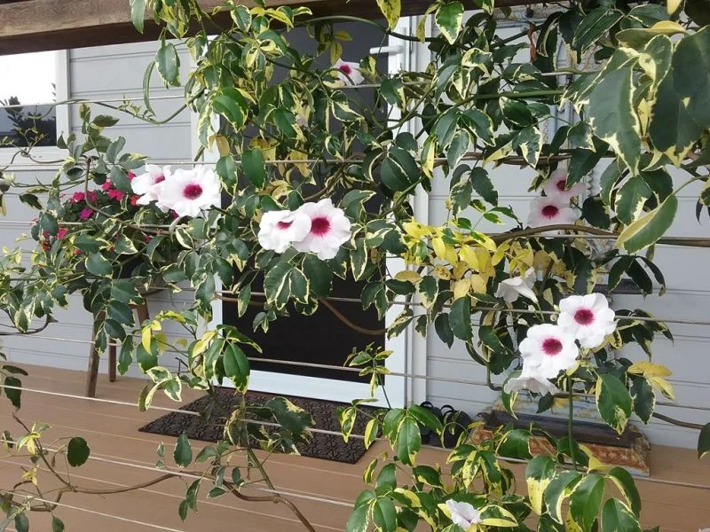 Additional image 5 of 118/385 Princes Highway, Ulladulla NSW 2539