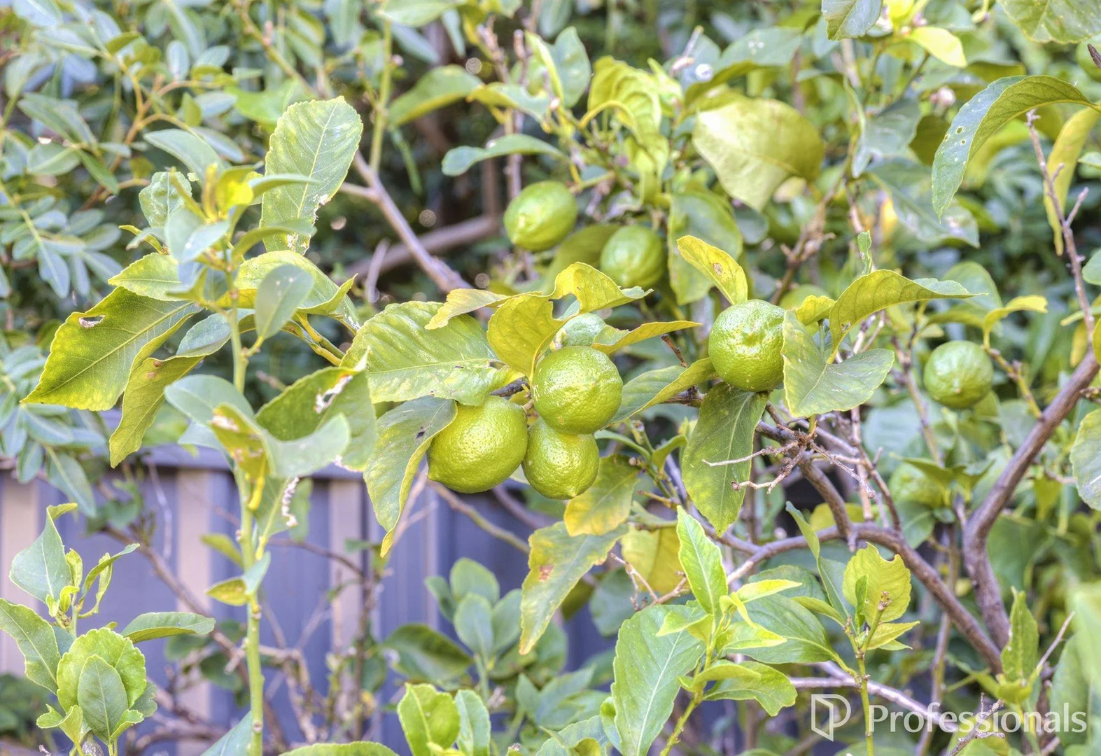 Additional image 25 of 2 Warren Road, Bullsbrook WA 6084