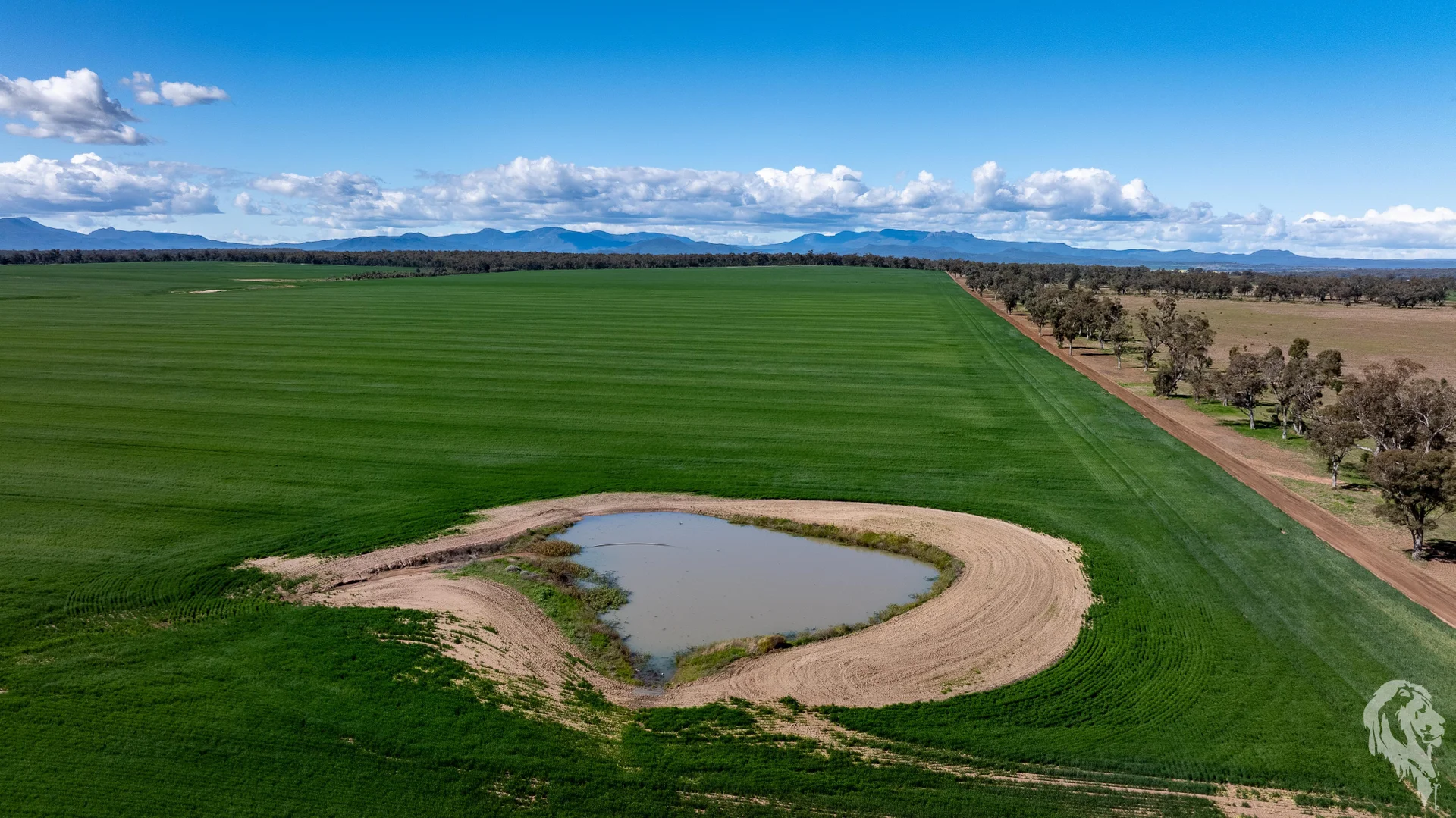Additional image 14 of 13012 Newell Highway, Narrabri NSW 2390