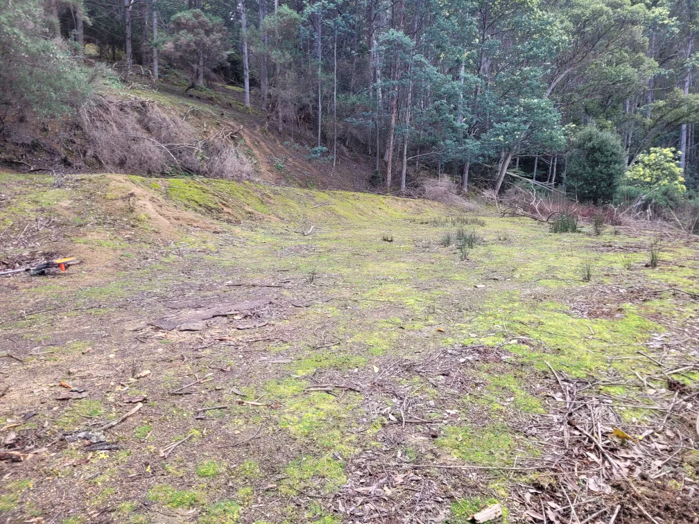 Additional image 4 of Lot 1, 1360 Huon Road, Neika TAS 7054