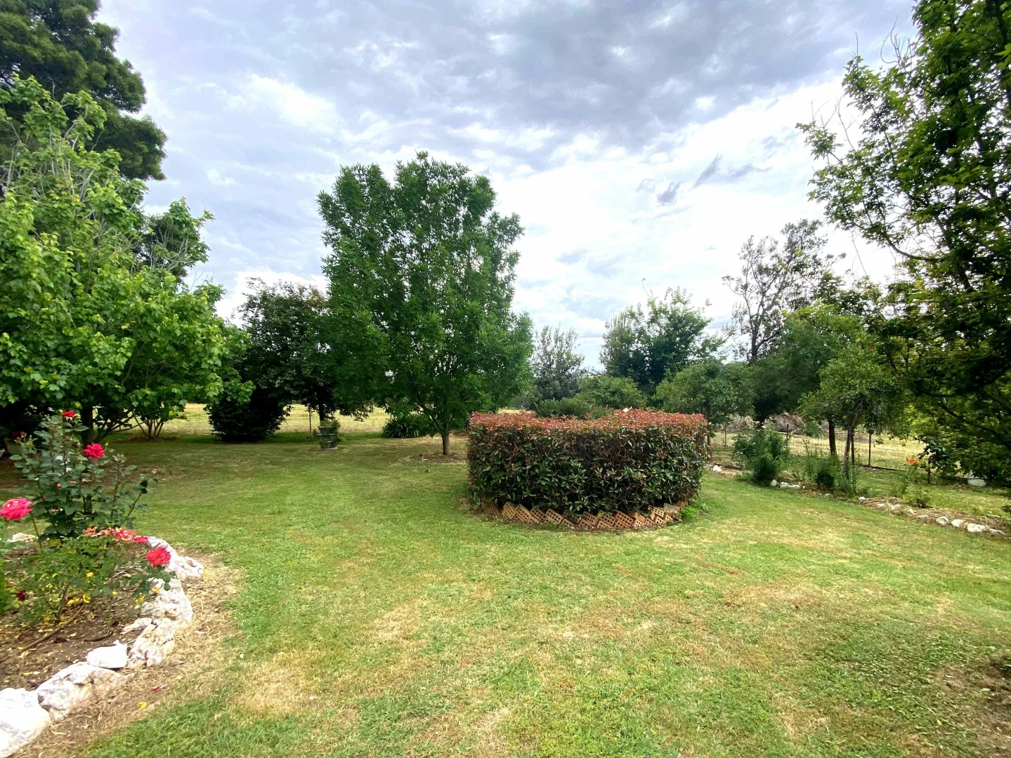 Additional image 12 of "Abbyville" 90 Convent Lane, Borenore NSW 2800