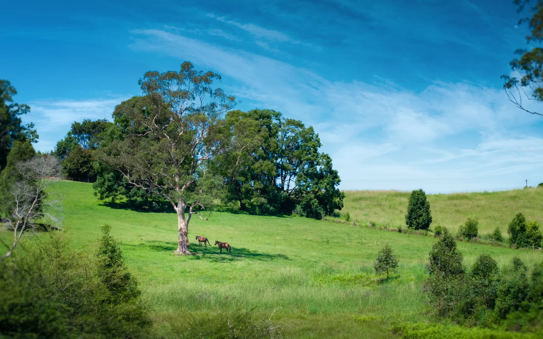 Additional image 10 of 62 Whistler Place, Bellingen NSW 2454