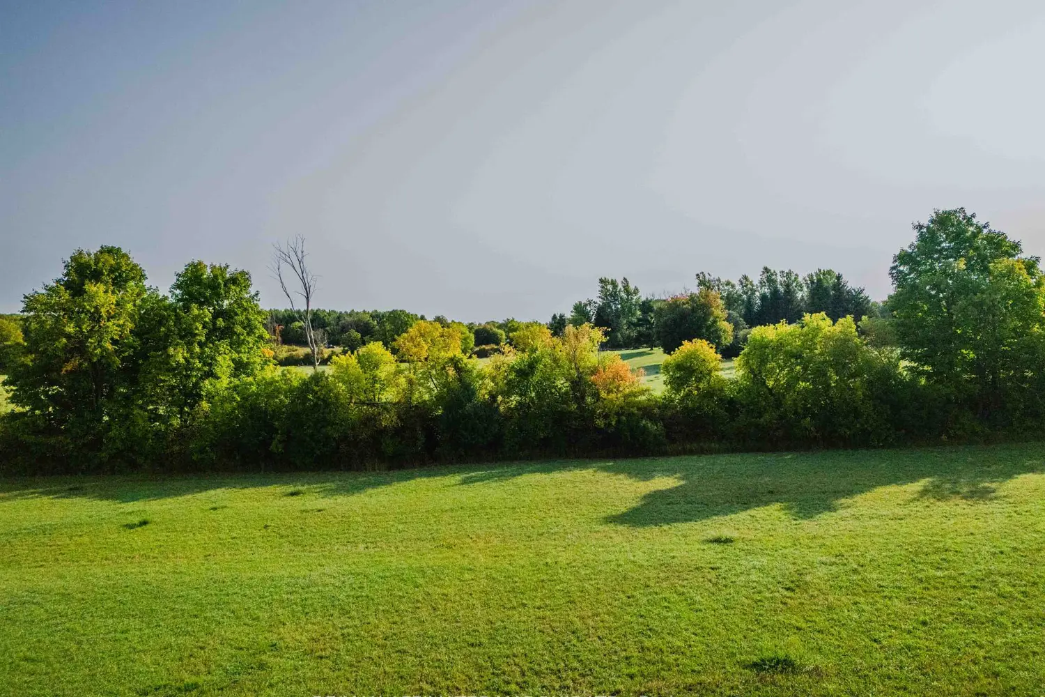 Additional image 8 of Lot Black River Road