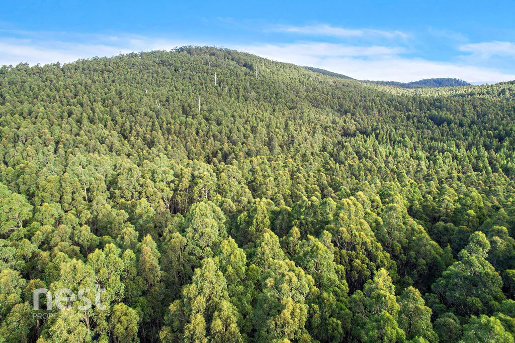 Additional image 2 of Lot 2 Slab Road, Middleton TAS 7163