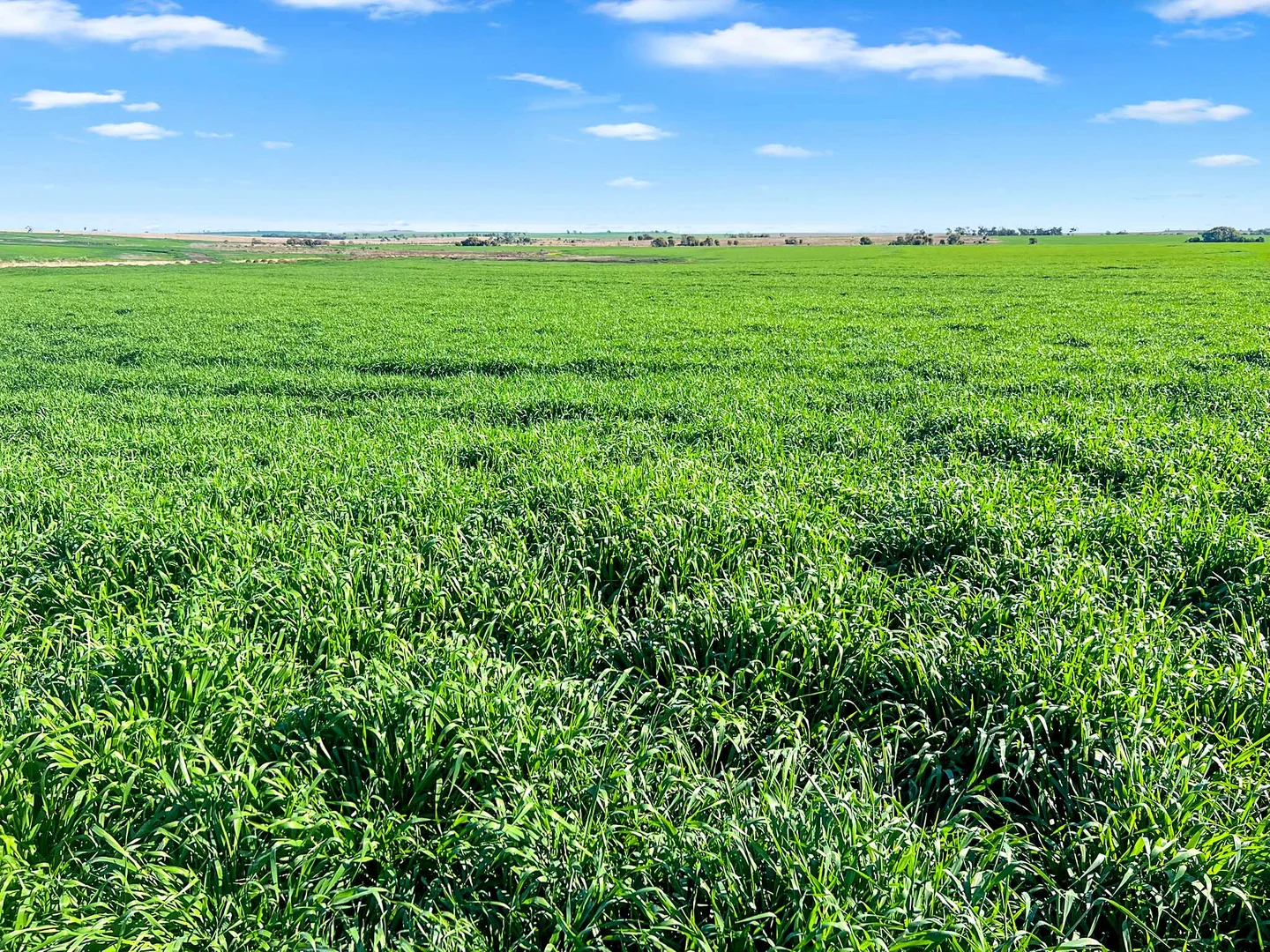 Additional image 9 of Croppa Creek NSW 2411