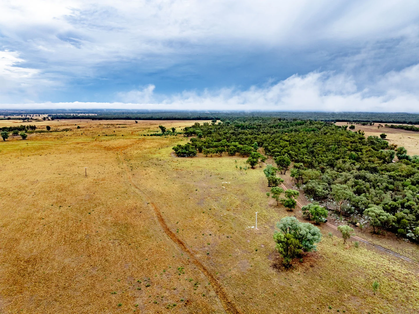 Additional image 22 of 'Woroona' & 'Tralee' 936 Boorr Hill Road, Parkes NSW 2870