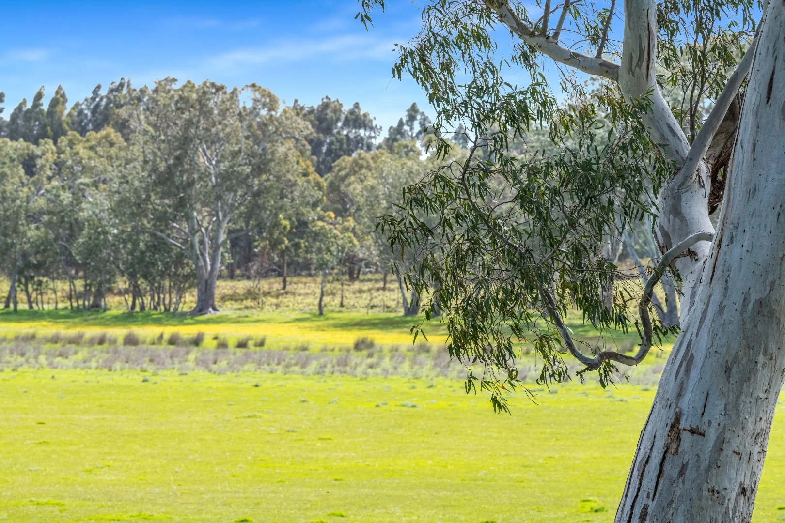 Additional image 38 of 1242 Old Comaum Rd, Coonawarra SA 5263