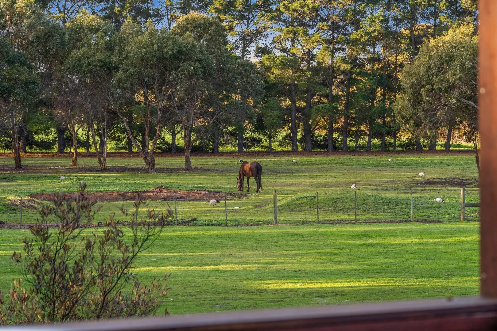 Additional image 15 of 222-230 Old St Leonards Road, Portarlington VIC 3223
