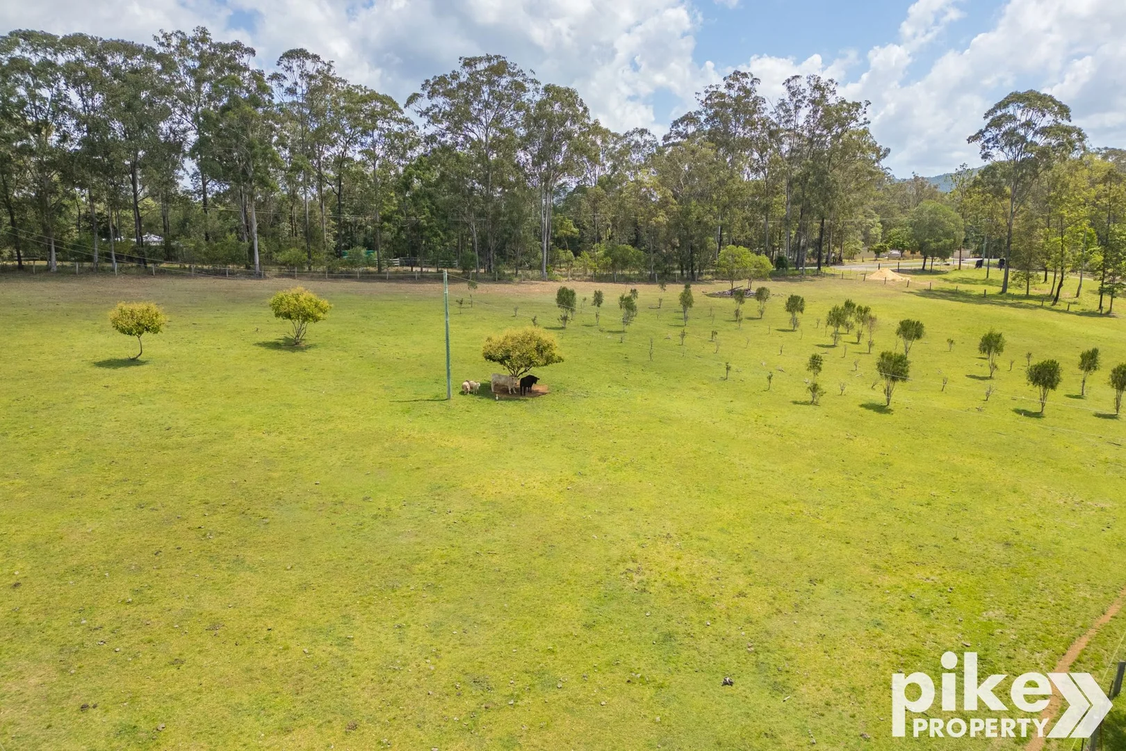 Additional image 40 of 116 W Lindsay Road, Wamuran QLD 4512