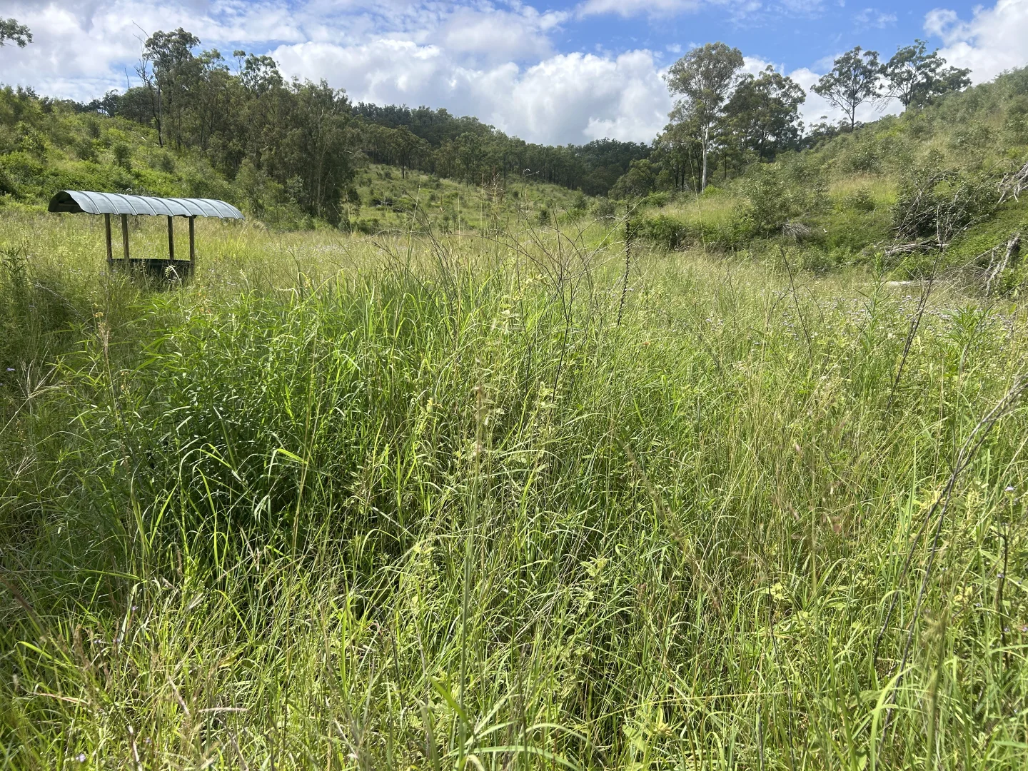 Additional image 6 of 789 Coppin Rd, Monto QLD 4630