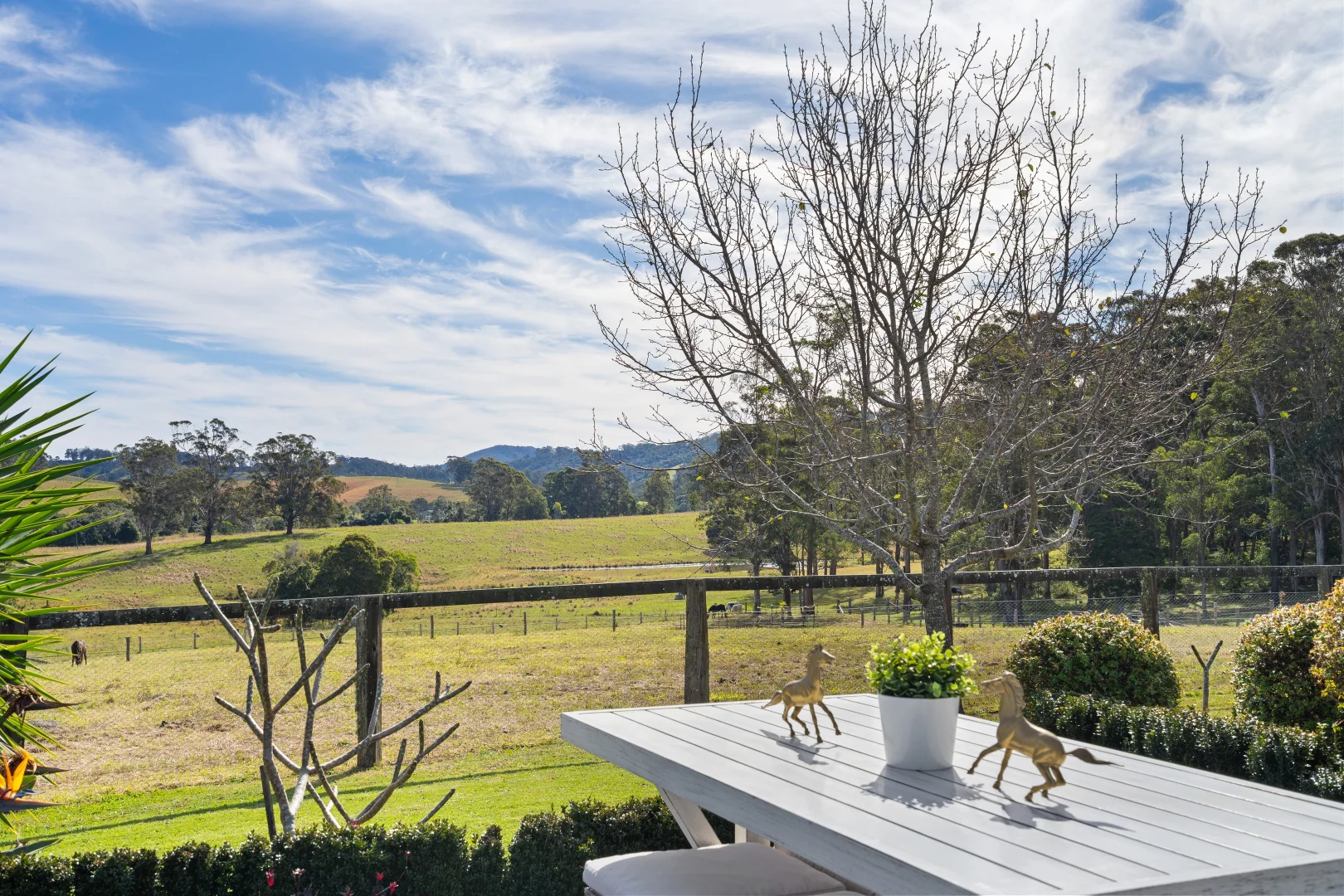 Additional image 22 of 148 Mimi Creek Road, Firefly NSW 2429