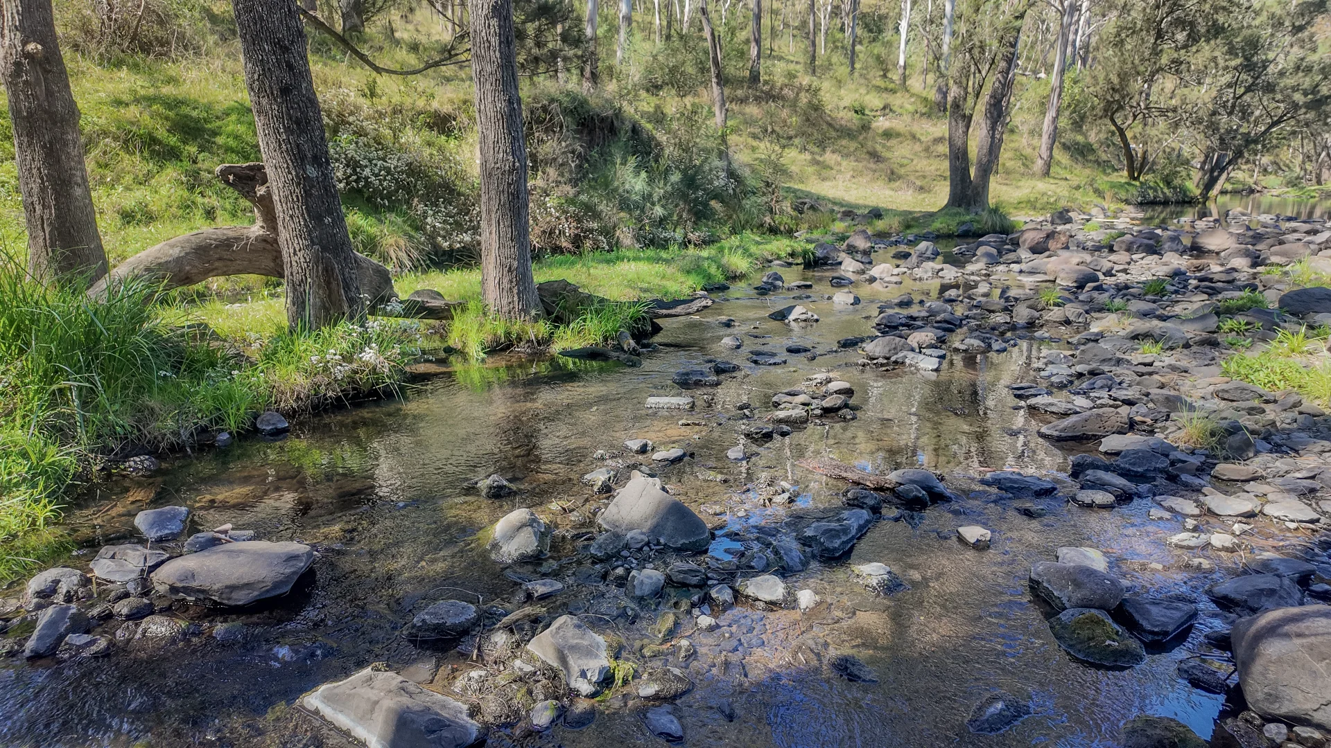 Additional image 10 of 9790 Cunningham Highway, Tregony QLD 4370