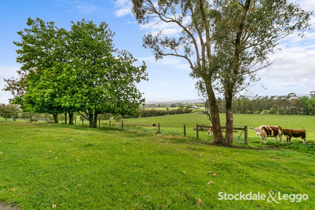 15 Mulga Road, Hazelwood North VIC 3840