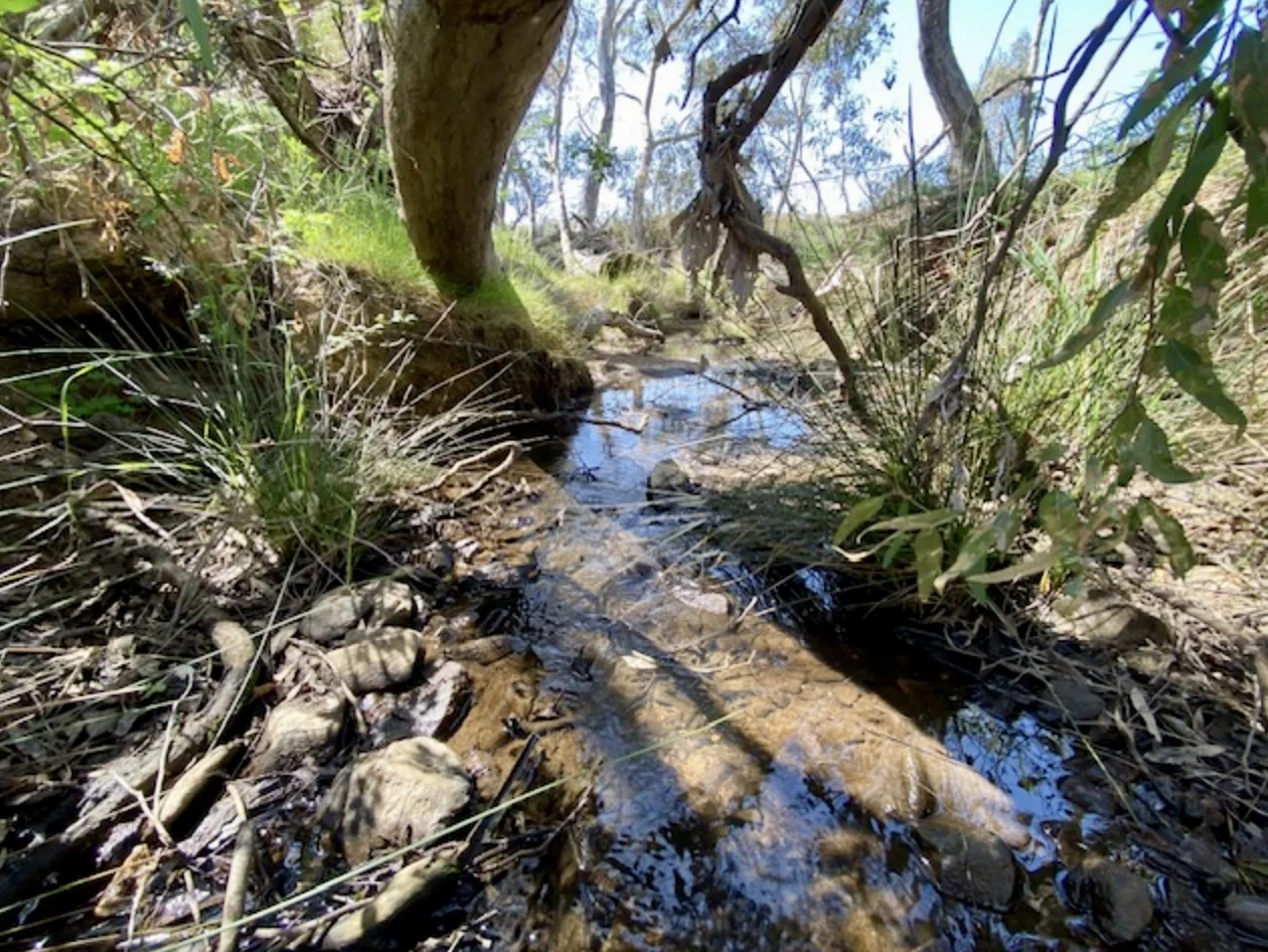 Additional image 15 of 1254 Axe Creek Road, Sedgwick VIC 3551