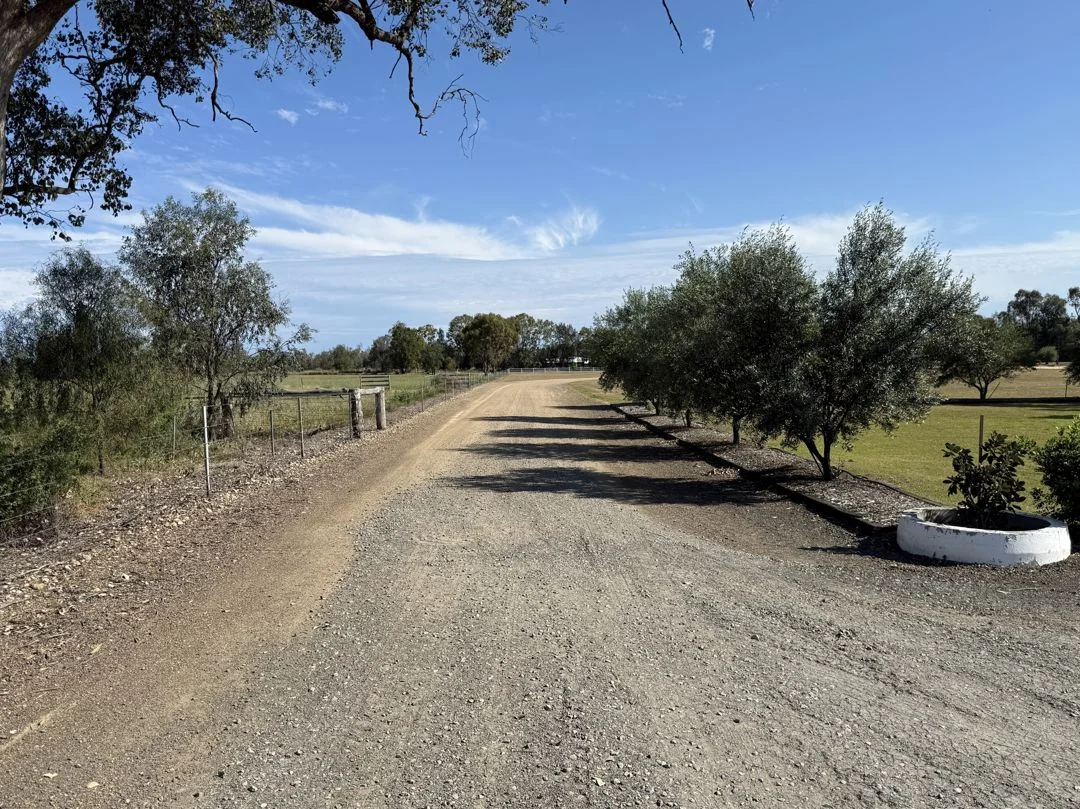 Additional image 22 of 155 River Road, Pallamallawa NSW 2399