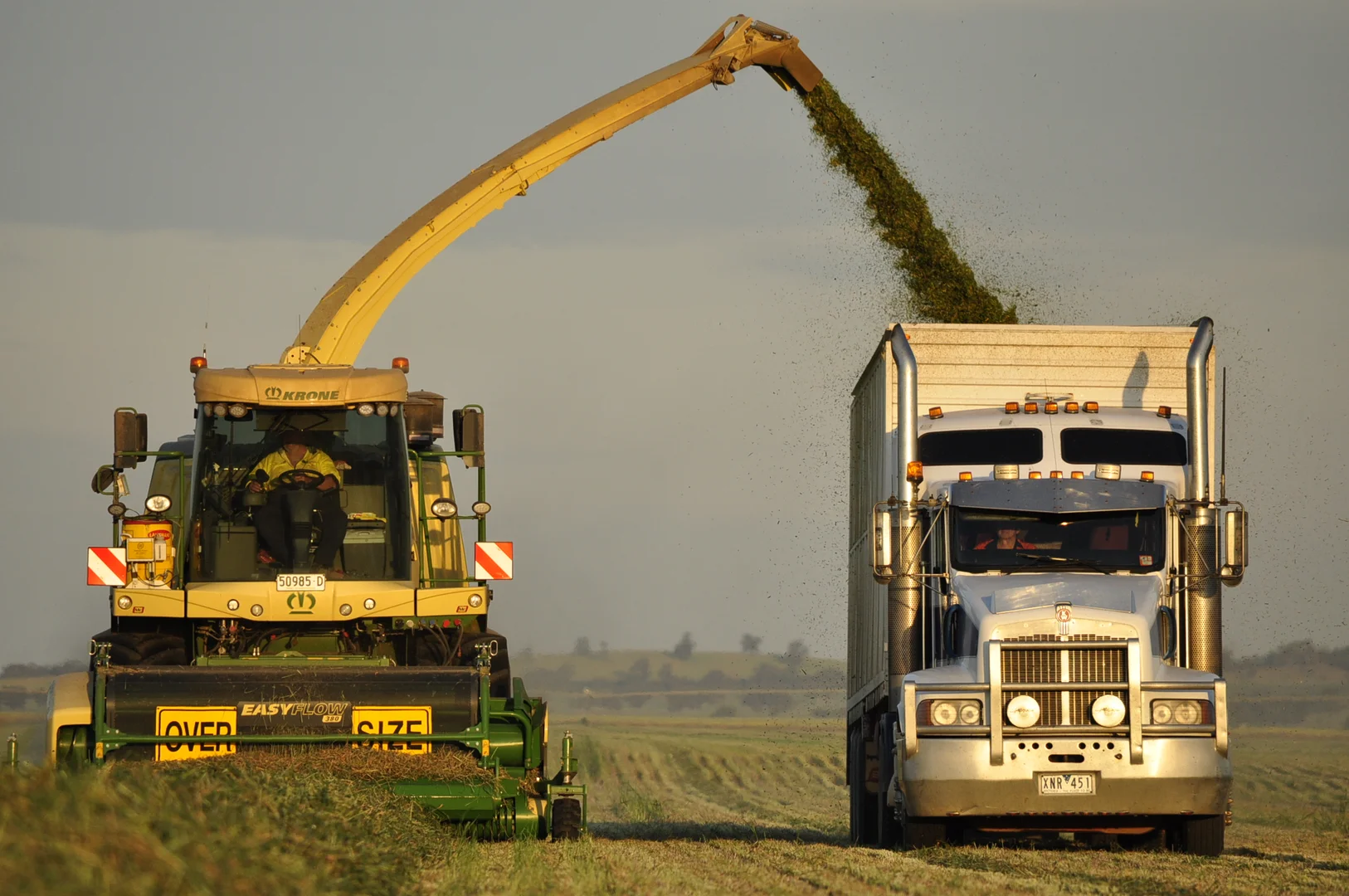 Additional image 6 of 1 Henry Lawson Way, Forbes NSW 2871