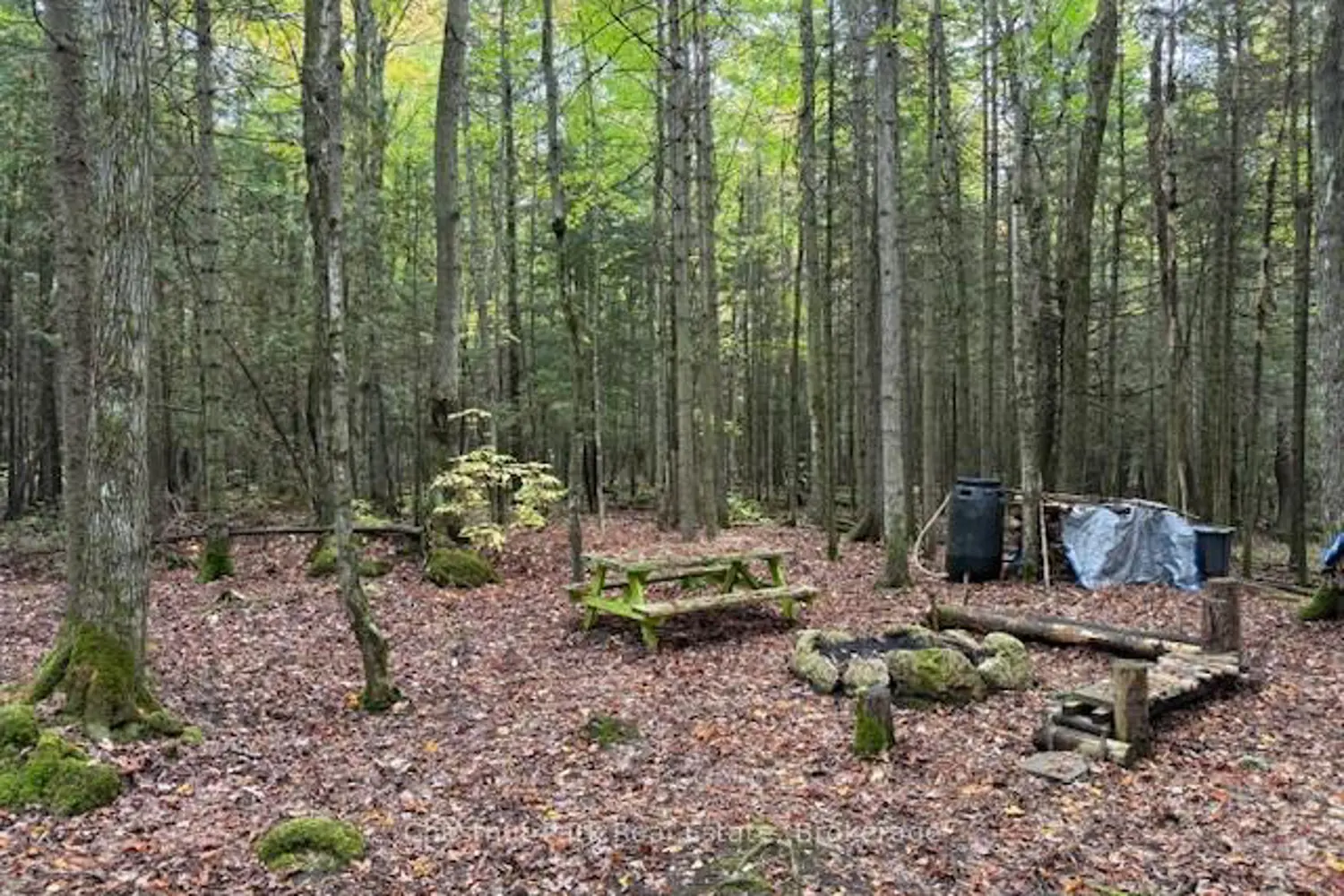 Additional image 8 of 596244 Concession 10