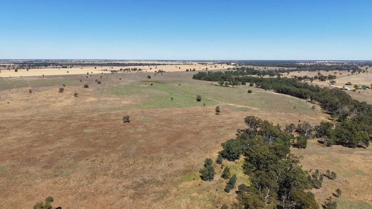 Additional image 21 of 128 Berida-Bullagreen Road, Collie NSW 2827