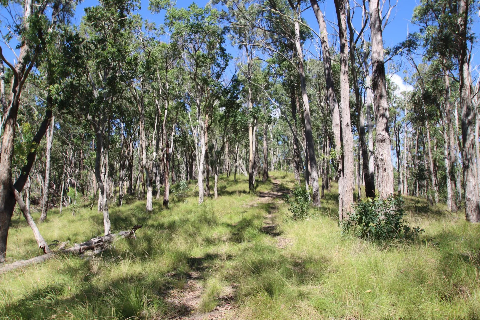Additional image 7 of 1465 Billirimba Road, Tenterfield NSW 2372